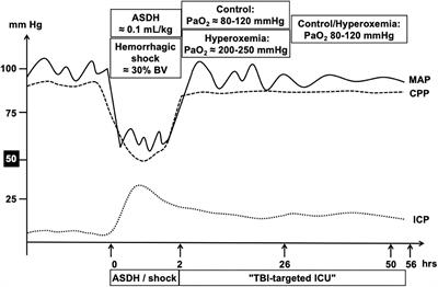 The effect of targeted hyperoxemia in a randomized controlled trial employing a long-term resuscitated, model of combined acute subdural hematoma and hemorrhagic shock in swine with coronary artery disease: An exploratory, hypothesis-generating study